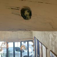 Place  at Mori Cafe in Paris