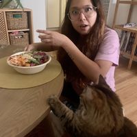 Our cat was excited to try it too! 🐾  at My Lai in Los Angeles