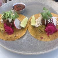 Falafel tacos   at Rustic and Blue in Phuket