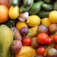  at La Era Ecológica in Torre Del Mar