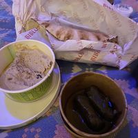 Hummus, flatbread and stuffed vine leaves   at Biblos in Bristol