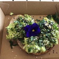 Avo on sour dough at Papaya in Lennox Head