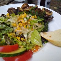 Vegan salad with grilled mushrooms at Zum Eichkatzerl in Frankfurt