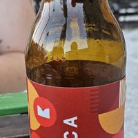 Beer at Laboratorio - Food. Drink. Green Cosmetics in Jesi