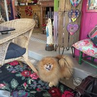   at La Bohème in Saintes-maries-de-la-mer