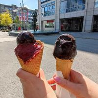  at Slascicarna Borovnica in Maribor