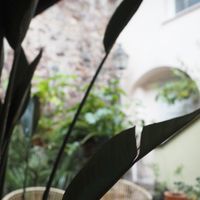 Beautiful outdoor seating at Gostilna Vida in Ljubljana