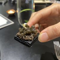 Close up of the caviar at Sow Vegan in Kowloon