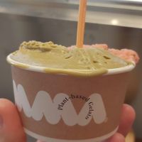Pistachio at AMMA Gelato in Barcelona