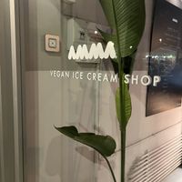 Logo  at AMMA Gelato in Barcelona