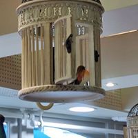 déco : Free Bird  at Un Piano dans la Théière in La Rochelle