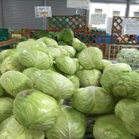 Inside at Nakagusuku Farmers Market Minami in Okinawa