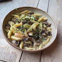 King Oyster & Chestnut Mushroom Penne
white wine cream sauce at The Punter in Oxford