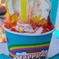  at Happy Ice in Los Angeles