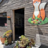 Cute lil’ patio where we ate. at La Cocina del Zorro in Tijuana
