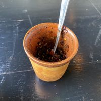 Chile  at La Cocina del Zorro in Tijuana