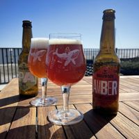   at Havenpaviljoen Wad Anderz in Schiermonnikoog