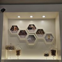 The vegan choices at Gelateria Emiliana in Split