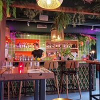 Bar at Spice Monkey in Utrecht