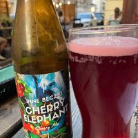 Inne Beczki cherry ale at The Botanist in Warsaw
