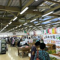 Inside at Yunta Ichiba in Yomitan