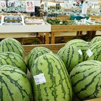 Watermelon at Yunta Ichiba in Yomitan