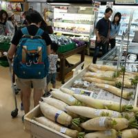 Inside at Onna no Eki Nakayukui Market in Onna