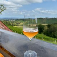   at Weingut Buschenschank Firmenich - Steinberghof in Ehrenhausen