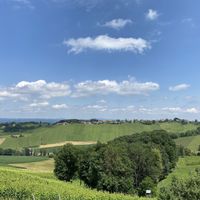 The view  at Weingut Buschenschank Firmenich - Steinberghof in Ehrenhausen