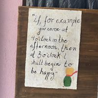   at Sol de Maple in Cozumel