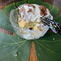   at Sol de Maple in Cozumel