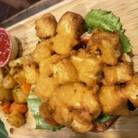 The Tofishy  at Sol de Maple in Cozumel