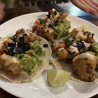 Baja tacos 🤤  at Sol de Maple in Cozumel