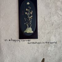   at Sol de Maple in Cozumel