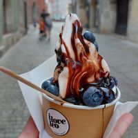 Kleinste Variante mit Schokososse und Blaubeeren at I Love Leo in Regensburg