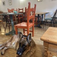   at Thrive in Cambridge