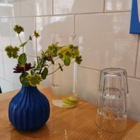  at Vegan Pip's in Leeuwarden