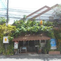 Lotus Vegetarian Restaurant same as Dok Bua Vegetarian Restaurant  at Dok Bua Vegetarian - Lotus Vegetarian in Phuket