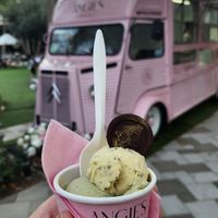 2 mini scoops- Pistachio and Passion Fruit Basil at Angie's Epicurean in Miami