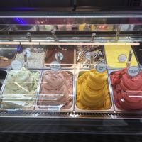 Variety of ice cream (8 out of 12 flavors are vegan) at Golda in Haifa
