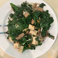 The kale and mushroom delight  at Grasshopper Restaurant in Boston