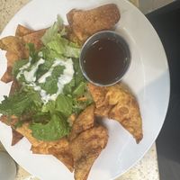 Wontons!!!  at Grasshopper Restaurant in Boston