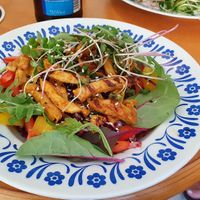  at VeggieDick in Mikulov