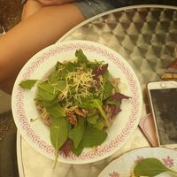 Whole grain pasta with spinach and cream at VeggieDick in Mikulov