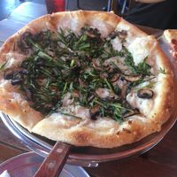 Vegan Wild Calabrese Pizza at Pizza Lounge in Dallas