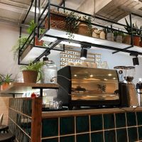 Bar at PLANTS & FRIENDS in Sochi