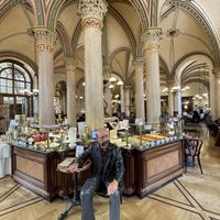 Vibes   at Café Central in Vienna