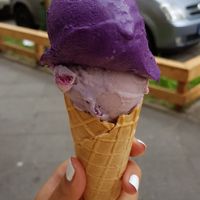 Vegan ube (purple sweet potato) and lavender blueberry ice cream at Samadhi Eis in Berlin