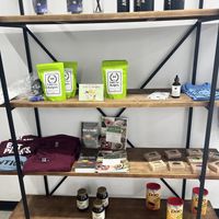   at Antiox in Hagerstown