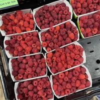 So fresh  at Rägeboge in Winterthur